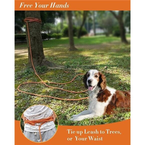 Long Dog Leash for Training 10FT/16FT/20FT/30FT/50FT/100FT, Reflective Tie Out - Picture 6 of 7